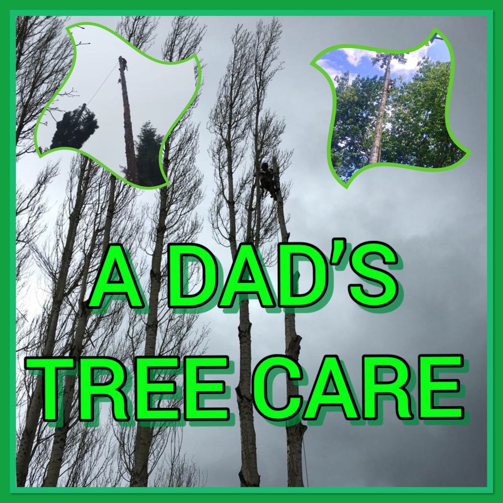 A Dad's Tree Care