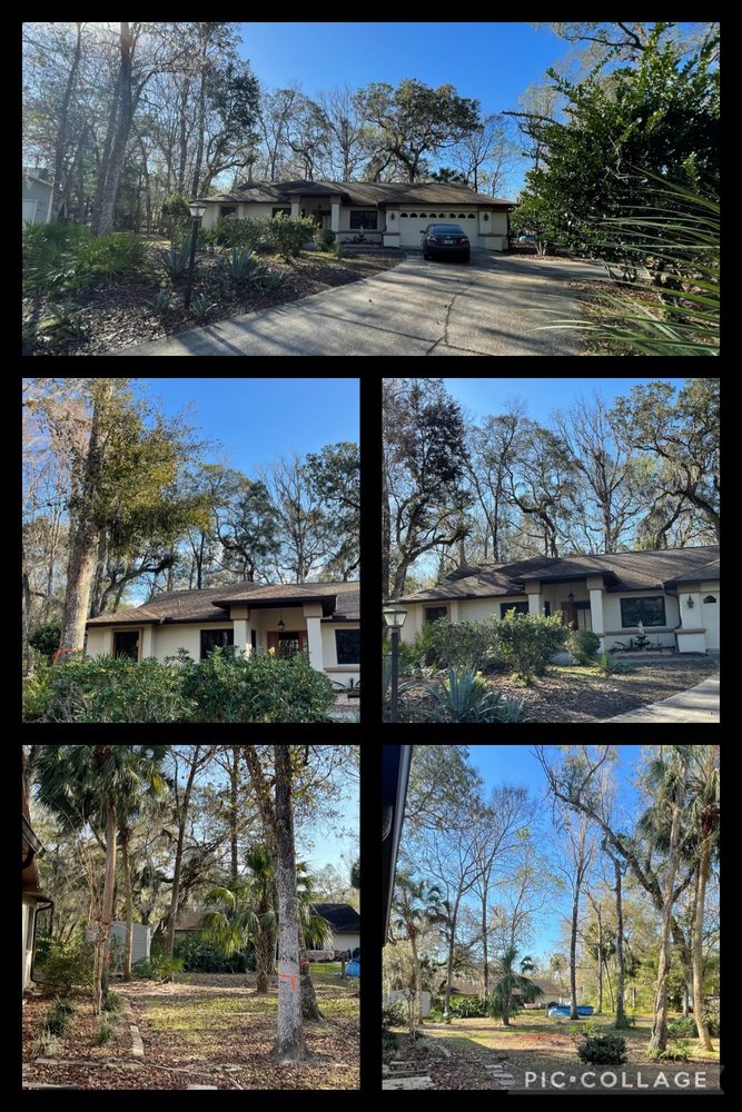 Skipper's Tree Service