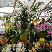 Berridge Nurseries 34 Photos 25 Reviews Gardening In The Greenhouse Photo Of Berridge Nurseries Phoenix Az United States Inside