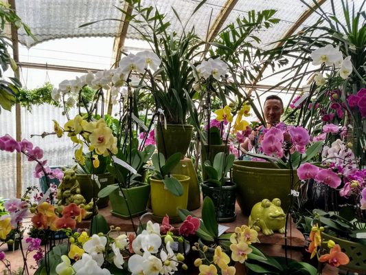 Berridge Nurseries 4647 E Camelback Rd Phoenix Az Mapquest