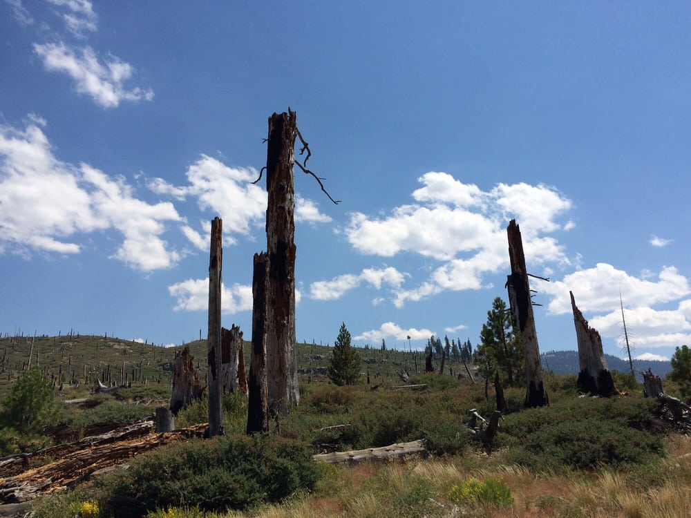 Mammoth Mountain RV Park 45 Photos & 95 Reviews RV Parks 2667 Main St, Mammoth Lakes, CA