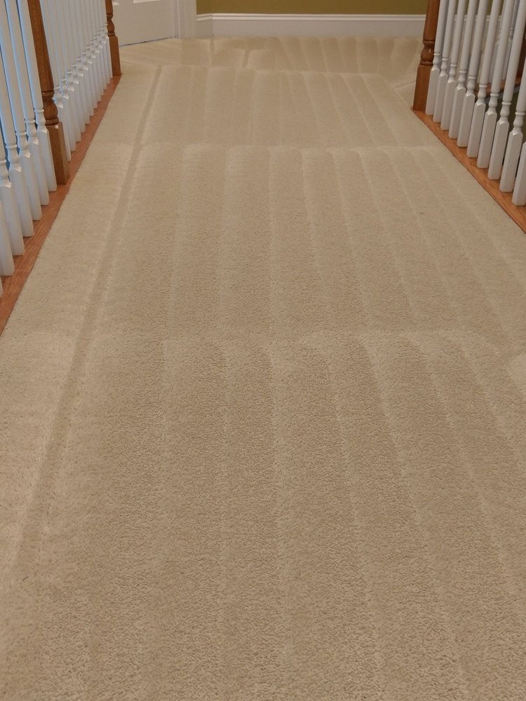 renaissance carpet cleaners 29 fotos 171 beitr 228 ge renaissance carpet cleaners 29 fotos 171 beitr 228 ge
