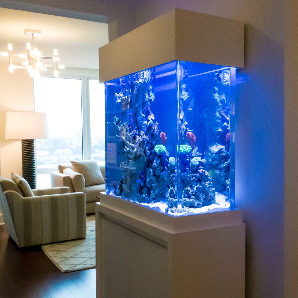 Anchor Aquarium Service Inc. - 15 Photos - Aquariums - 28 Locust St ...