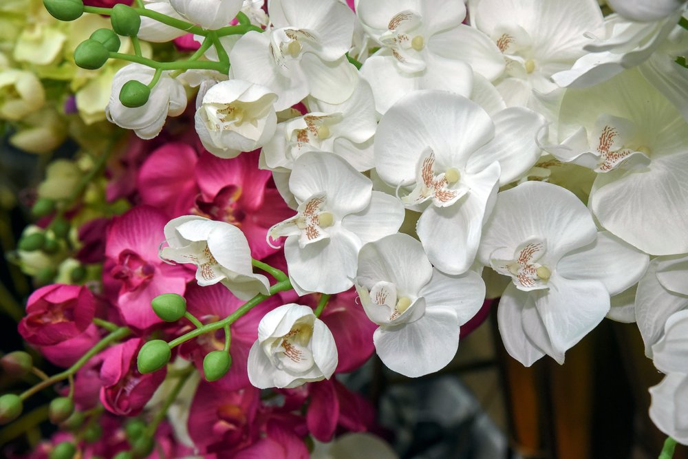 image of business Shima Home Decor