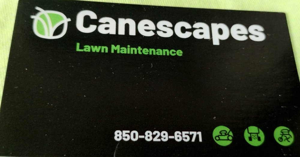 Canescapes