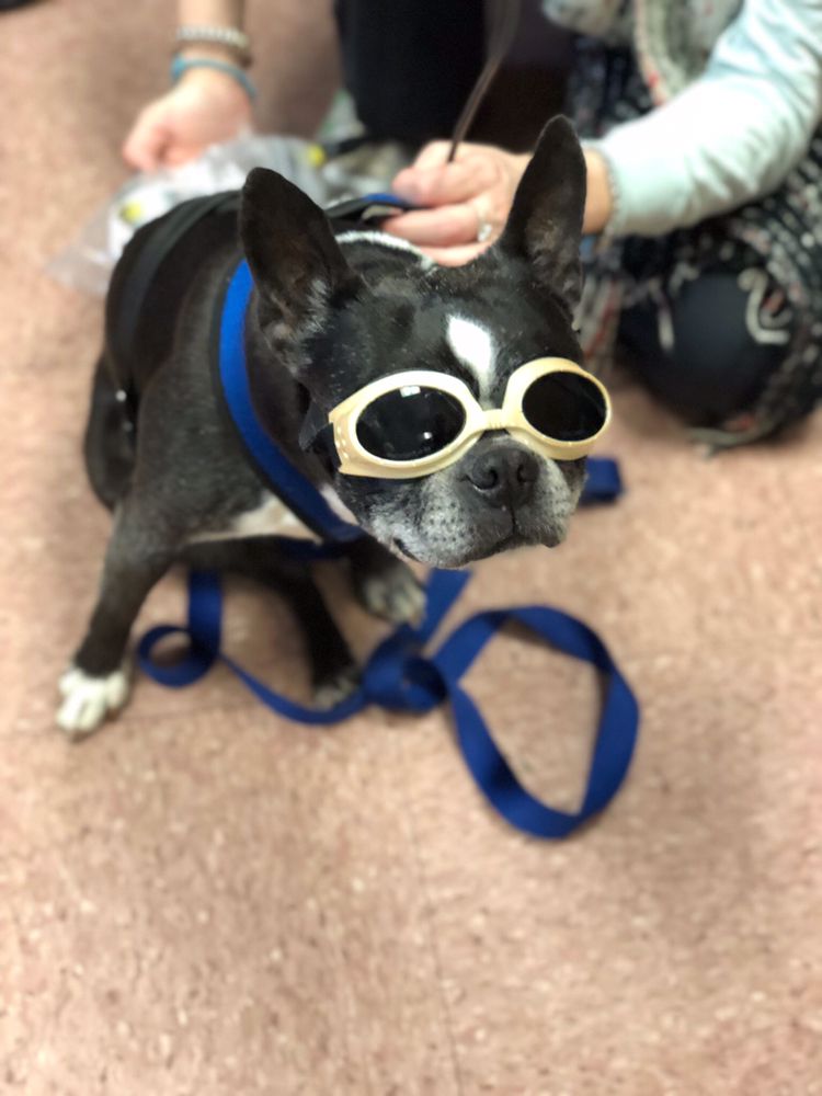 Valley Brook Veterinary Hospital 17 Reviews Veterinarians 321