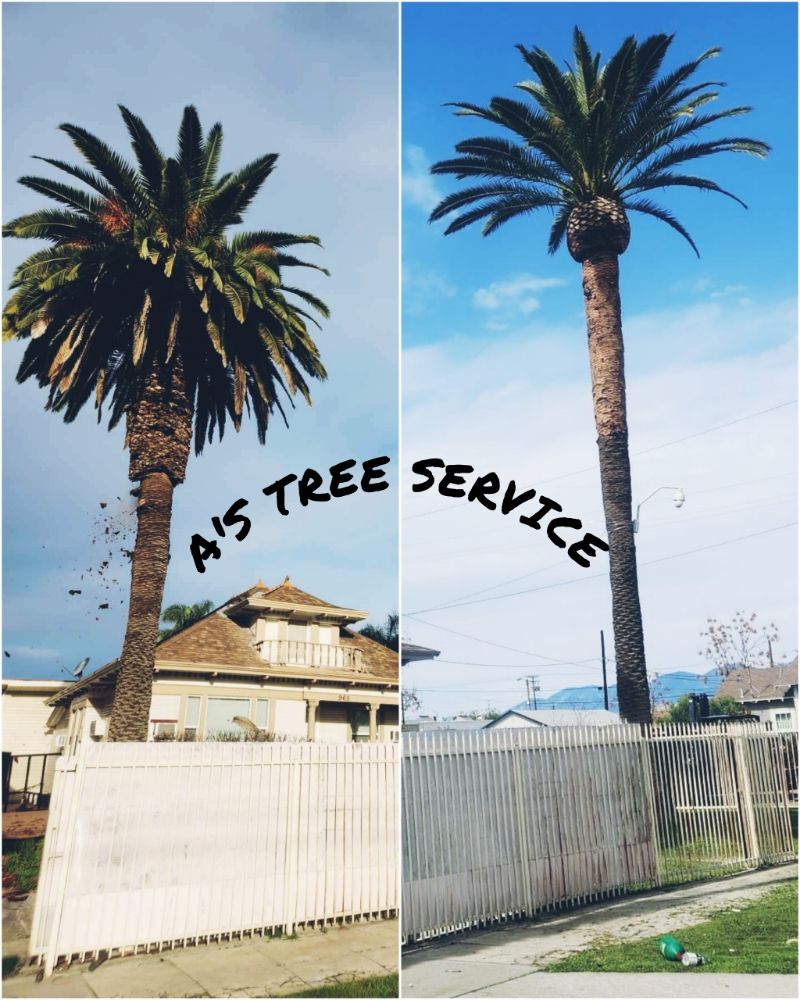 A's Tree Service