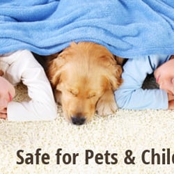 Carpet Cleaning Heaven S Best Alexandria Va Photo Of Sam Carpet Cleaning Alexandria Va United States