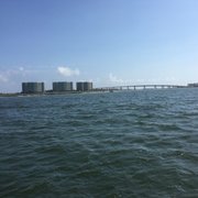 Dolphin Boat Trips By Southern Rose 15 Reviews Charters Photo Of Dolphin Boat Trips By Southern Rose Orange Beach Al United States