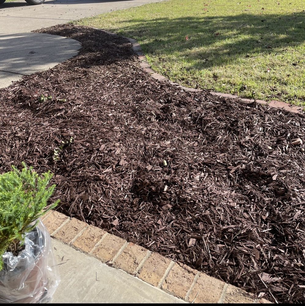 Passionate lawn care