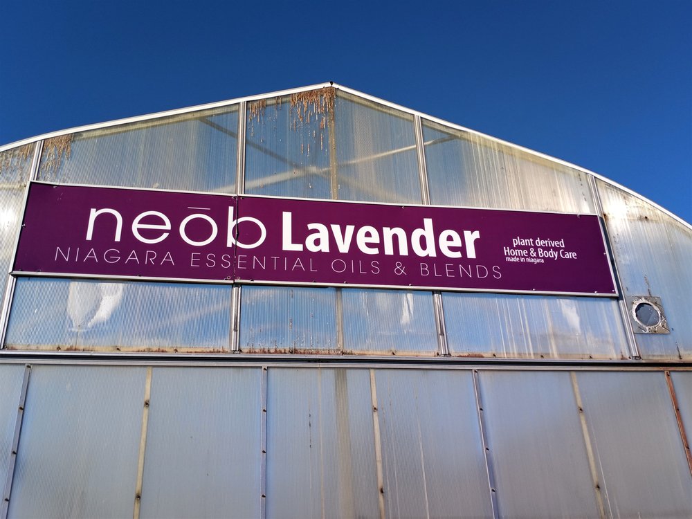 Neob Lavender