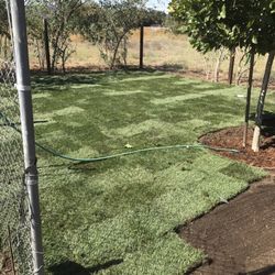 West Coast Turf 10 Reviews Landscaping 1365 Descanso Ave San Photo Of West Coast Turf San Marcos Ca United States