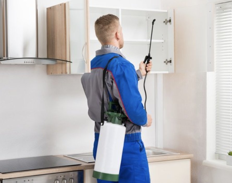 Mr Roland Pest Control