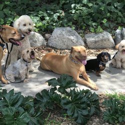 animal behaviorist