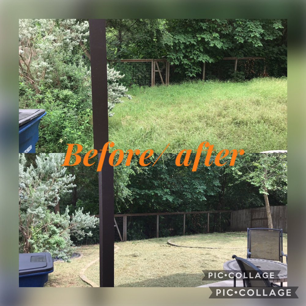 Bello’s Lawn & Tree Service