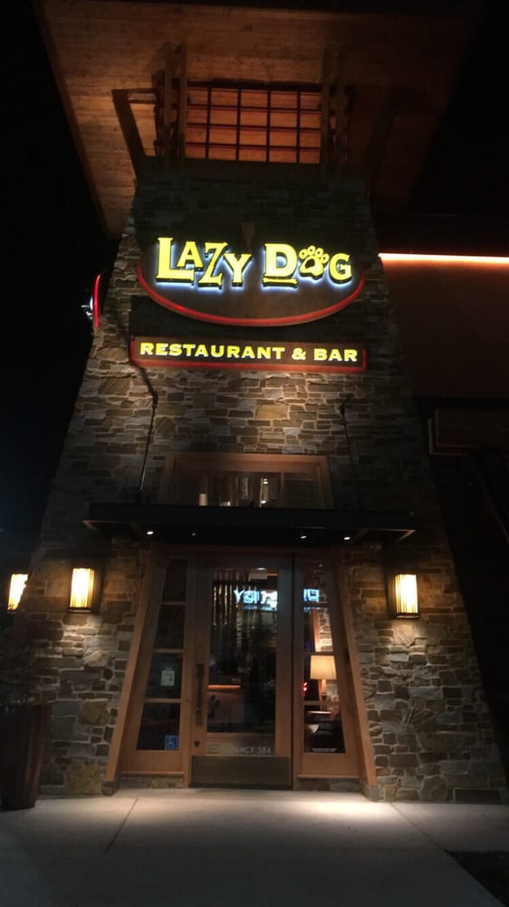 Lazy Dog Restaurant And Bar Cupertino Lazy Dog Restaurant And Bar Cupertino