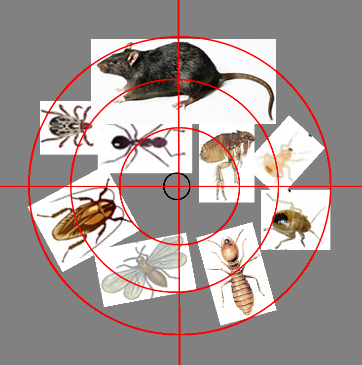Onpoint Termite and Pest Control