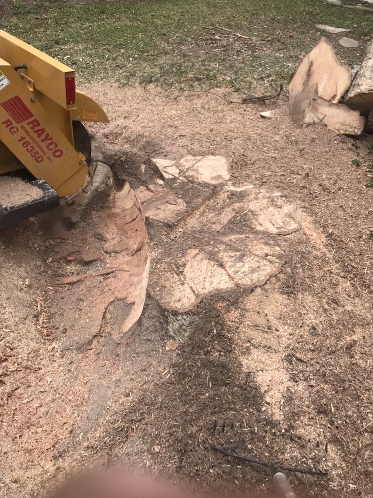 AA Stump Grinding