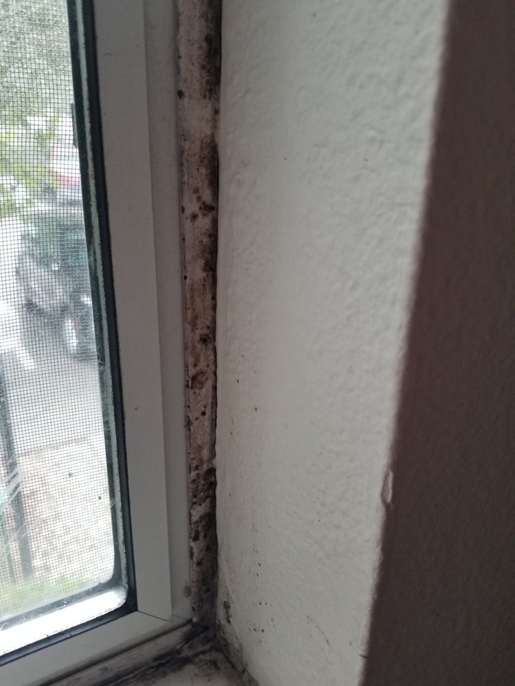 Capitol Heights Apartments by CONAM Management