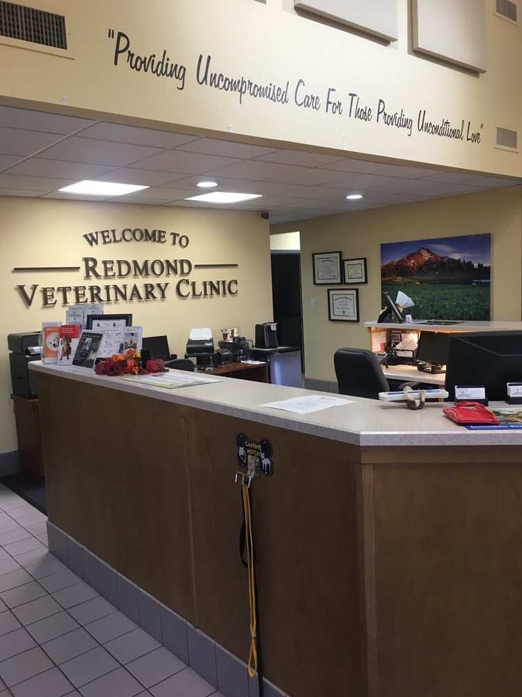 Redmond Veterinary Clinic 14 Reviews Veterinarians 1785 N Hwy 97