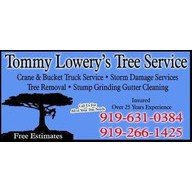 Tommy Lowery Tree Service