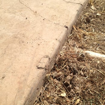 Sierra Landscape Material Nurseries Gardening 5850 Mother Lode Photo Of Sierra Landscape Material Placerville Ca United States Materials