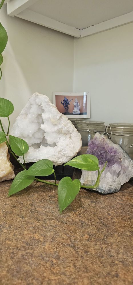 Golden Monkey Healing