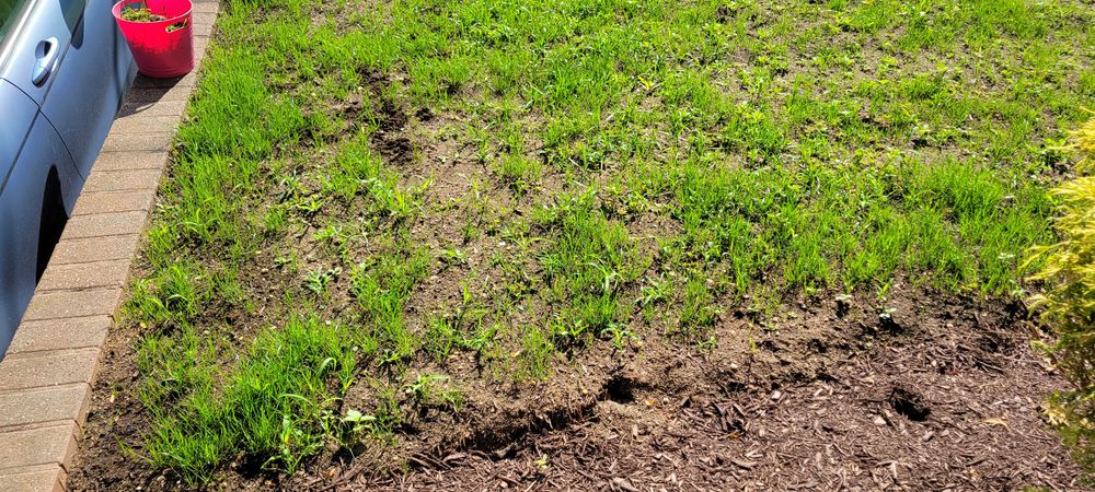 Briella's Landscaping