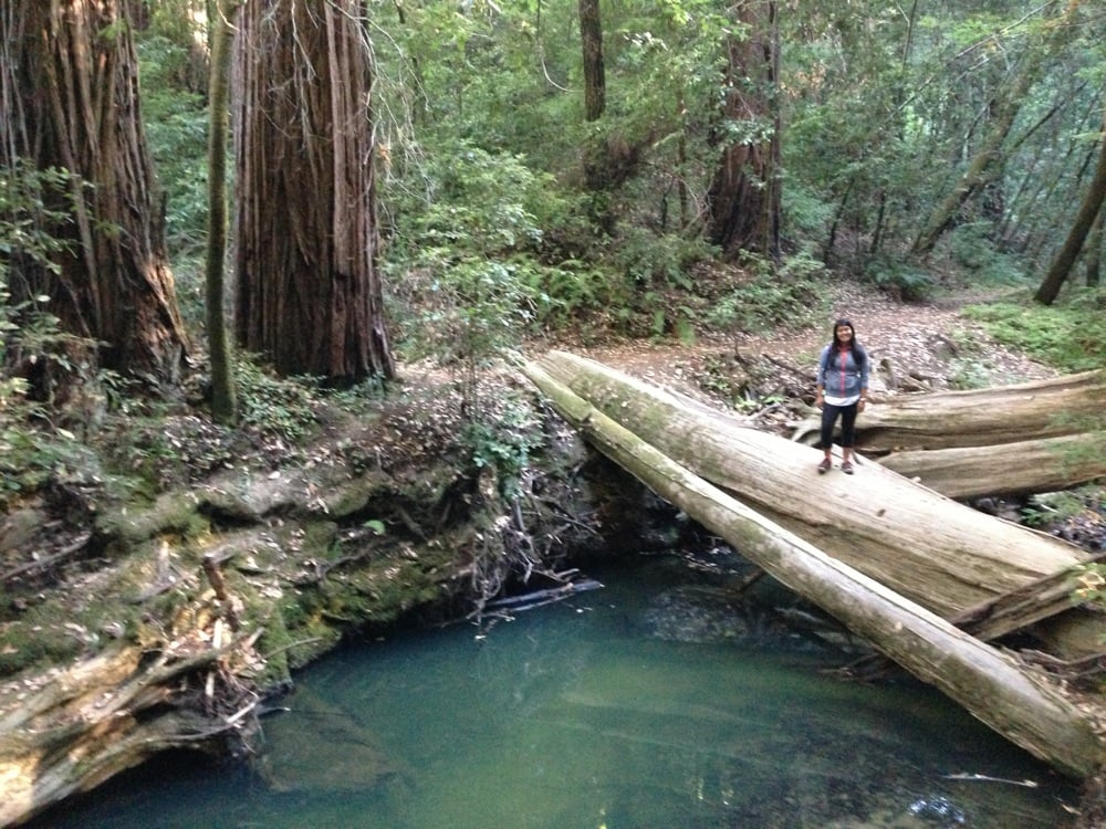 Photos For Big Basin Redwoods State Park Yelp
