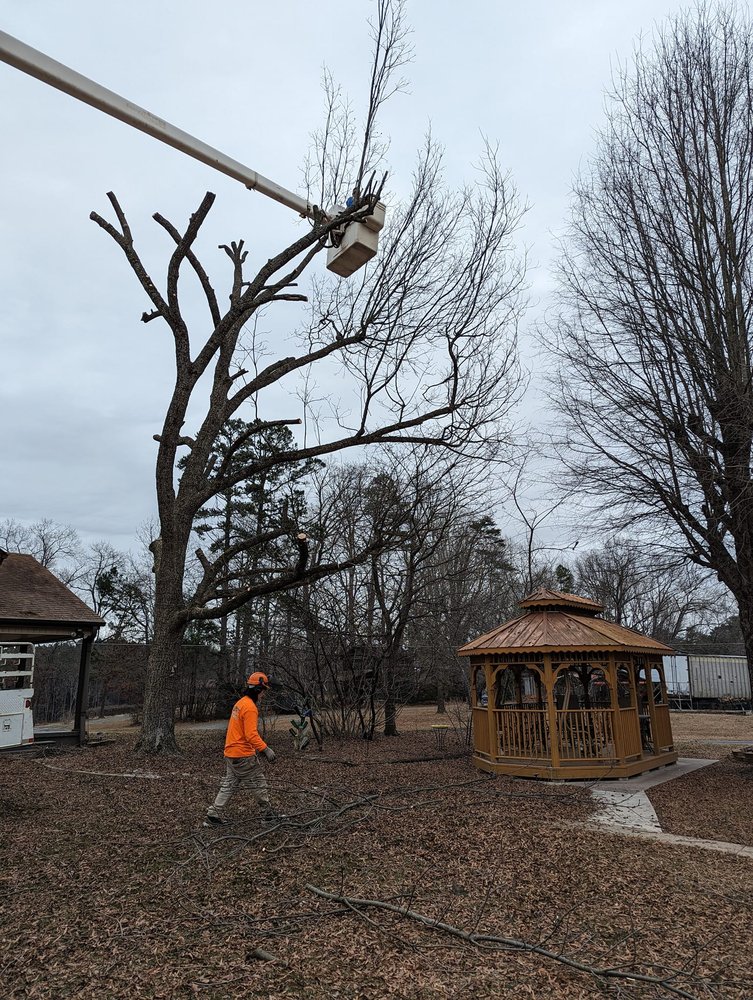 Woody's Tree Service