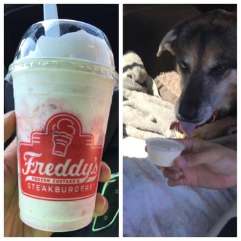 freddy's pup cup