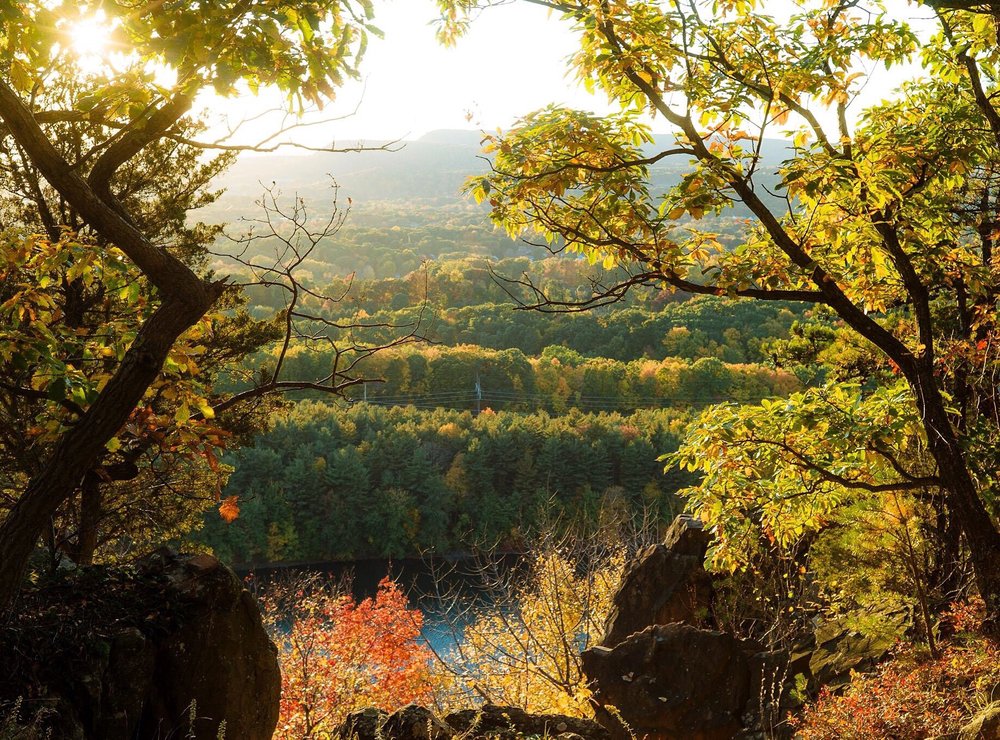 Giuffrida Park 45 Photos & 22 Reviews Hiking 800 Westfield Rd