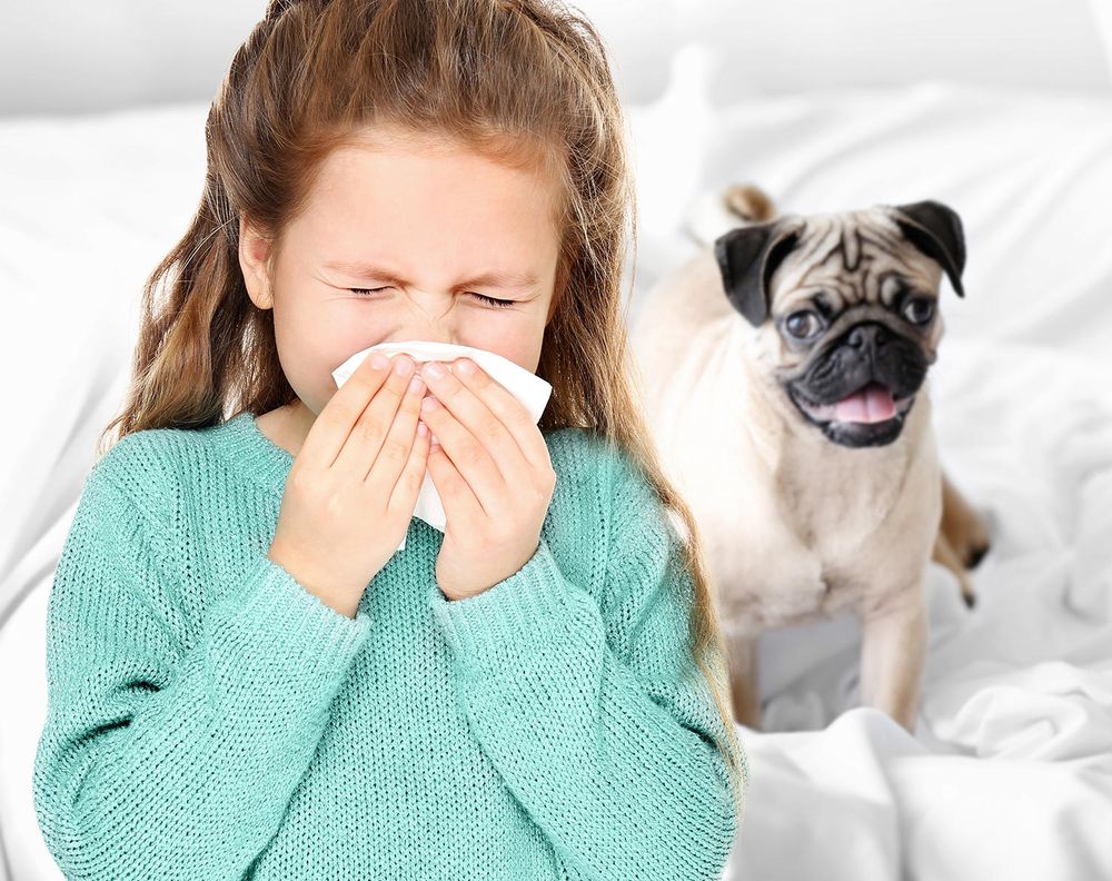 image of business Watkins Allergy And Asthma Clinic - Jacksonville