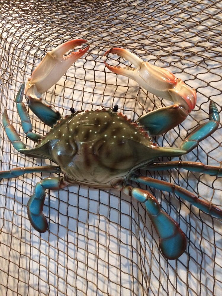 Conrad’s Seafood Restaurant 298 Photos & 235 Reviews Seafood 9654