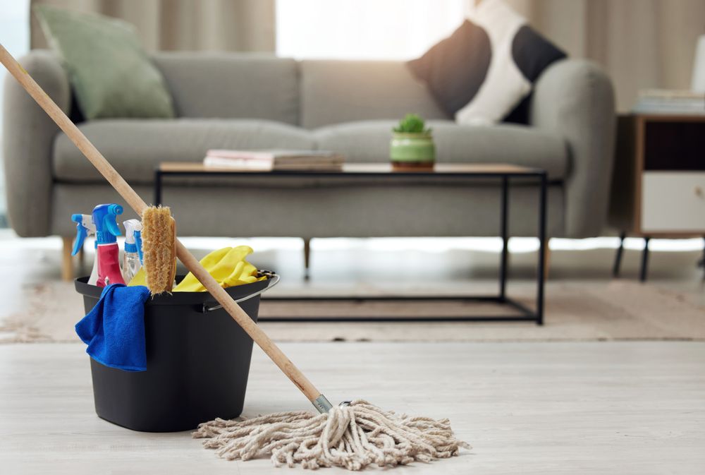 Domenic's Cleaning Services