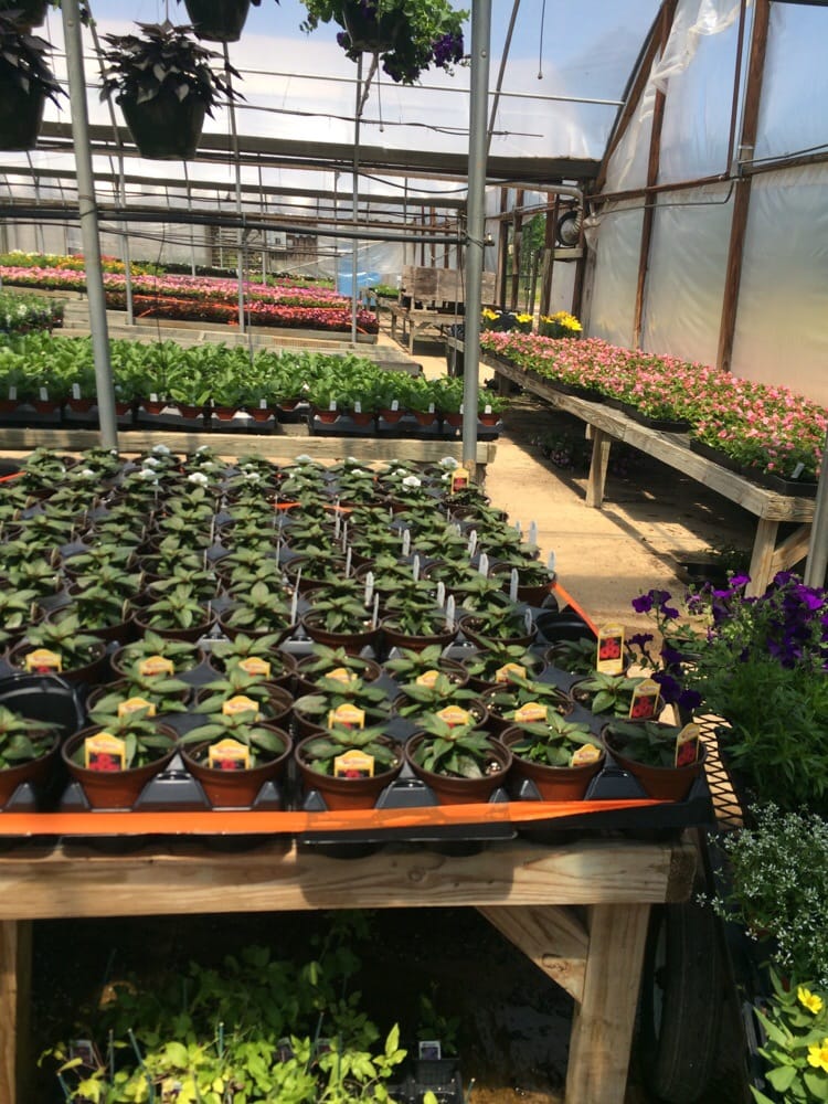 Dan West Garden Centers 10 Photos Nurseries & Gardening 12061 Hwy