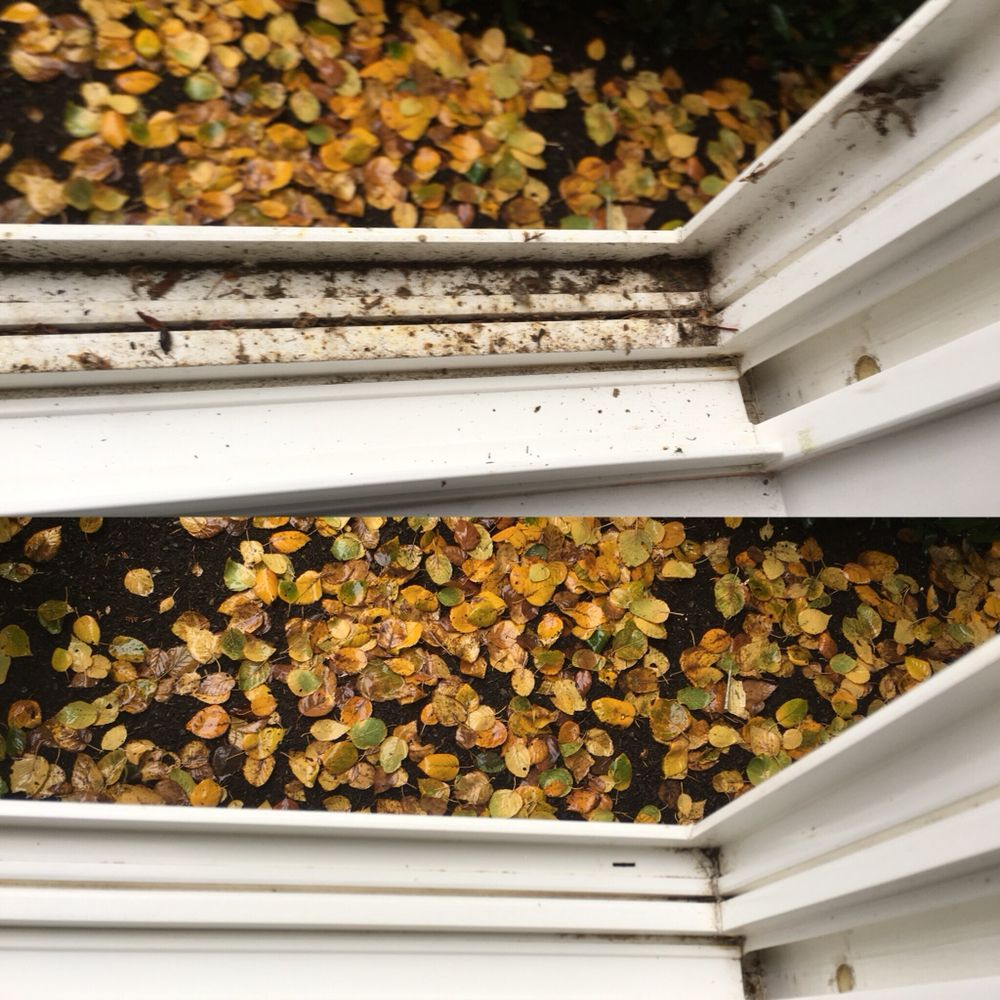 Reign City Property Maintenance