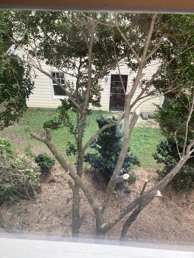 Triangle Painting & Siding