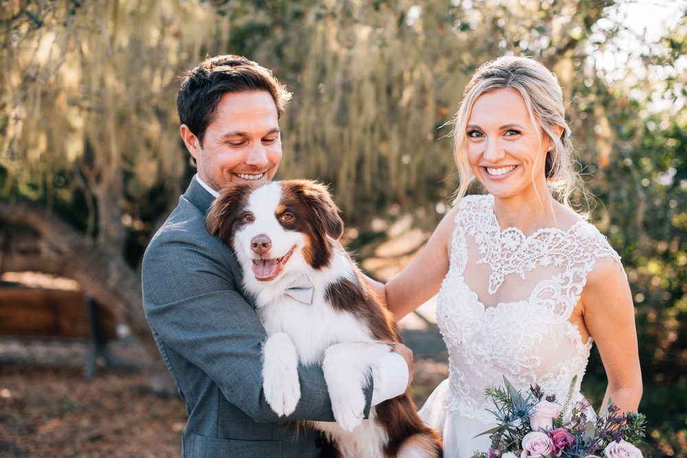 Amber McGaughey Photography
