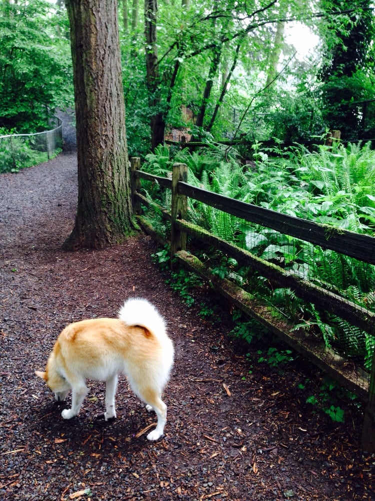 Northacres Park 35 Photos & 47 Reviews Dog Parks 12718 1st Ave NE