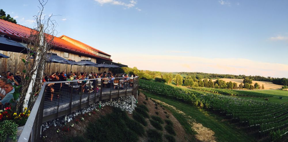 Grandview Vineyard