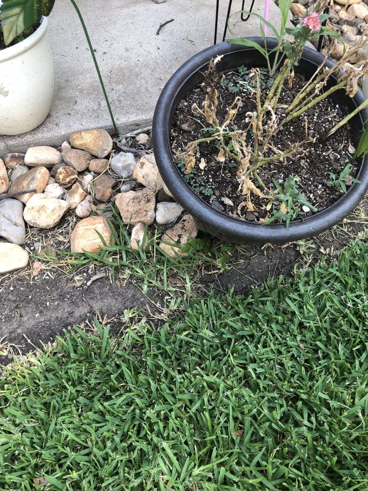 A Plus Lawn Care & Landscaping