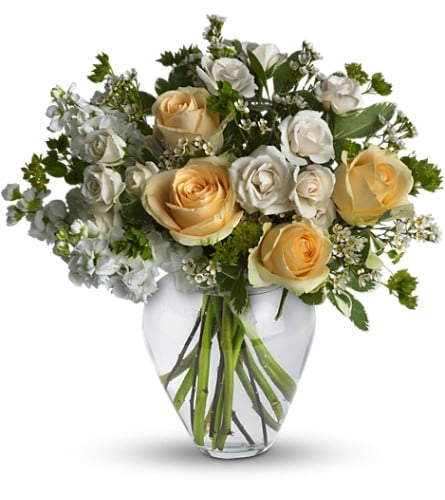 Featured image of post Enchanted Florist Lewiston Ny : No fires, bbqs or alcohol.