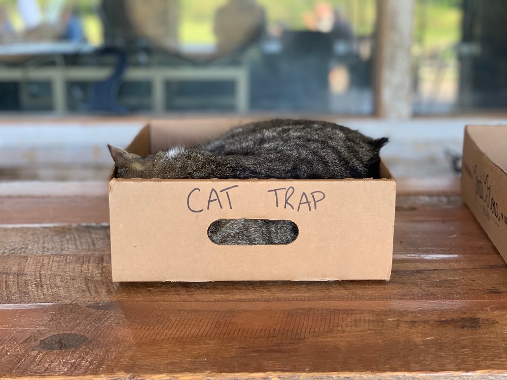 Fonta Flora - Whippoorwill Farm