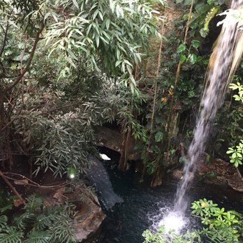 The Dallas World Aquarium - 1547 Photos & 728 Reviews - Aquariums