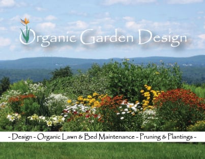 Organic Garden Design how to make an urban vegetable garden city vegetable garden Photo Of Organic Garden Design Sterling Ma United States Organicgardendesignus Organic Garden Design the best organic gardening tips and tricks of the year Photo Of Organic Garden Design Sterling Ma United States Organicgardendesignus