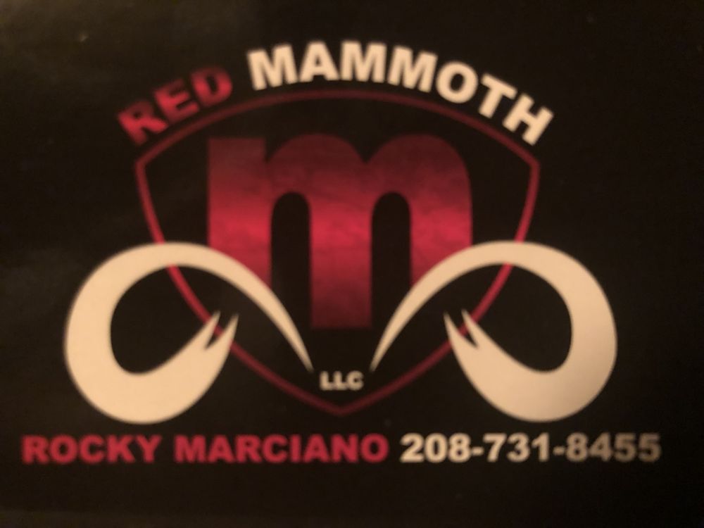 image of business Red Mammoth