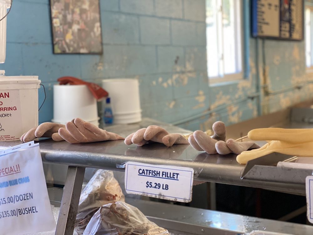 Murray L. Nixon Fishery