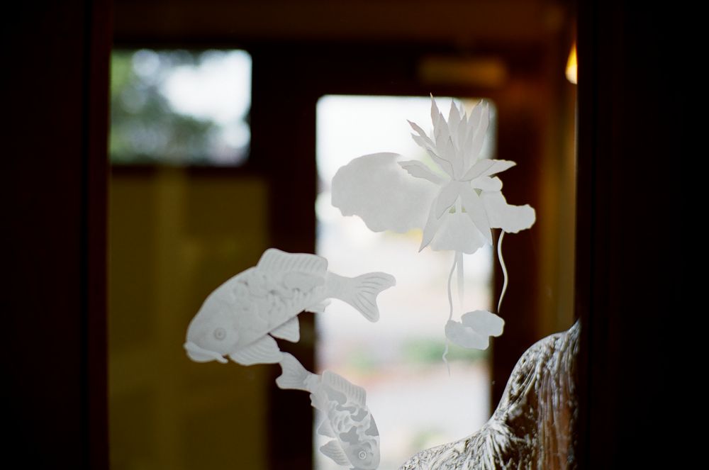 image of business Steve C Yang, DDS