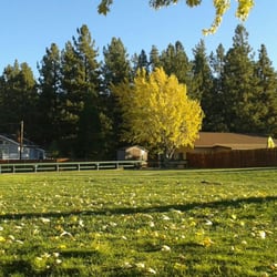 Meadow Park - 20 Photos - Parks - 41220 Park Ave, Big Bear Lake, CA - Yelp